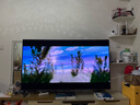 TCL電視 75Q9L Pro 75英寸 QD-Mini LED 蝶翼星曜屏 萬象分區(qū) 絢彩XDR 超薄 國家補貼 曬單實拍圖