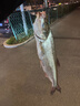 漢鼎魚(yú)竿路亞竿套裝新手小白竿碳纖維魚(yú)桿手桿釣魚(yú)竿漁具套裝 1.83m 曬單實(shí)拍圖