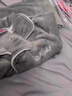 南極人（Nanjiren）男士睡衣男珊瑚絨秋冬季加絨加厚抗菌抗靜電可外穿開(kāi)衫家居服套裝 藏青 XL 【建議120-140斤】 曬單實(shí)拍圖