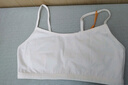 貓人兒童內衣發(fā)育期一階段小學(xué)生10歲11女孩女童少女棉質(zhì)小背心 杏140 曬單實(shí)拍圖