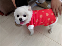 JCZS德國品牌狗狗衣服泰迪比熊過(guò)年結婚禮服貓咪漢服寵物新年喜慶唐裝 國潮風(fēng)旗袍-紅 S胸圍30cm(狗1-3斤/貓2-4斤) 曬單實(shí)拍圖