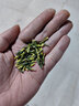 量和堂【高品質(zhì)真野生】野生江西蓮子心茶頭茬蓮子芯茶清心連子心新貨高 野生高品質(zhì)新貨250g 曬單實(shí)拍圖