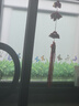 吉朵蕓客廳玄關(guān)墻裙踢腳線(xiàn)墻貼陽(yáng)臺櫥窗玻璃裝飾貼紙貼畫(huà)自粘腰線(xiàn)墻紙畫(huà) 特大號綠草長(cháng)175cm*高27cm 大 曬單實(shí)拍圖