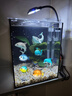 IXJSN超白魚(yú)缸客廳小型家用辦公室生態(tài)懶人全套造景迷你水草缸桌面斗魚(yú) 15.15.20爆款 裸缸過(guò)濾器夾燈 曬單實(shí)拍圖