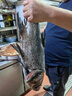 歡之婧 千島湖活魚(yú) 胖頭魚(yú)鳙魚(yú)花鰱大頭魚(yú)包頭魚(yú)鮮活水產(chǎn)大魚(yú)頭 5斤一條 江浙滬專(zhuān)拍【包活到貨】 曬單實(shí)拍圖