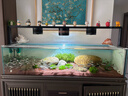樂(lè )迪魚(yú)缸燈全光譜海水缸照明燈小型迷你射燈 12W 水草款【全光譜+RGB  大鐵夾】 曬單實(shí)拍圖