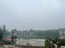 清風(fēng)（APP）【李昀銳同款】抽紙 卡皮巴拉4層90抽*20包M碼 衛生紙巾抽 整箱 曬單實(shí)拍圖