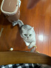 pidan猫砂铲套装 雪屋猫砂铲套件大号猫厕所清洁用品 白色 实拍图
