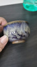 孔家鈞窯官窯鈞瓷孔家鈞窯萬(wàn)彩主人杯待客杯廚房茶室品茗茶具 圓融杯100ml 曬單實(shí)拍圖