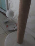 疯狂的主人猫抓柱大号玩具猫抓板猫爬架立式不掉屑挠磨爪器猫窝逗猫玩具猫咪用品 实拍图