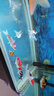 招財如意觀賞魚錦鯉大魚特大號耐活好養(yǎng)金魚冷水淡水風水魚招財大正紅白 七星高照（隨機顏色7條可指定） 8-10cm 曬單實拍圖