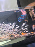 淘歌（TG）魚(yú)缸造浪泵 強力磁鐵吸附 打浪泵家用 造流吹魚(yú)糞循環(huán)推水機 曬單實(shí)拍圖