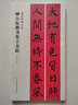 柳公權(quán)楷書集字春聯(lián)/春聯(lián)揮毫必備 曬單實(shí)拍圖