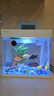 森森超白魚(yú)缸過(guò)濾制氧一體機自循環(huán)客廳水族箱桌面懶人小型玻璃 超白玻璃 300珊瑚景（贈豪華濾材+棉） 曬單實(shí)拍圖