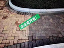 潔來仕德國高壓洗車機(jī)家用洗車水槍商用清洗機(jī)220V刷車泵大功率洗車神器 1W 經(jīng)典款+滾軸[感應(yīng)電機(jī)] 定制聯(lián)系客服 曬單實(shí)拍圖