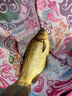 化氏超誘餌料魚(yú)餌競技休閑餌基礎餌散炮打窩料魚(yú)食鯽魚(yú)鯉魚(yú)160克 超誘【2包】 曬單實(shí)拍圖