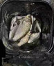 超聲波誘魚(yú)器黑科技聲納探魚(yú)器太陽(yáng)能萬(wàn)能進(jìn)口聲波聚魚(yú)劑捕魚(yú)神器 一個(gè)【誘光整條河】 曬單實(shí)拍圖