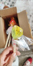信盛堂山姆同款】麥芽糖純手工0添加攪攪糖粘牙拉絲糖童年零食解饞糖果 東來(lái)線(xiàn)上商城品質(zhì)【新客嘗鮮】攪攪糖5只 小個(gè)包裝的麥芽糖自帶棍子兒童棒棒糖純手工商務(wù)用 曬單實(shí)拍圖