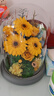 星韜永生花向日葵太陽(yáng)花束擺件生日禮物送女友老婆閨蜜教師七夕情人節 暖暖的愛(ài)~太陽(yáng)花~黃（高端大款） 曬單實(shí)拍圖