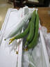 壽光新鮮長(cháng)絲瓜蔬菜綠皮現摘農家自種綠色蔬菜應季山東現發(fā)鮮嫩 新鮮絲瓜 4斤 曬單實(shí)拍圖
