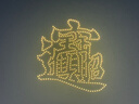 獅王（Lion）小獅王兒童電動(dòng)牙刷刷頭 3-12歲 電動(dòng)牙刷軟毛替換刷頭 曬單實(shí)拍圖