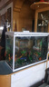 湛曉魚(yú)缸客廳中小型一體家用落地中型熱彎免換水桌面造景玻璃生態(tài)隔層 80厘米魚(yú)缸（送開(kāi)缸禮包） 曬單實(shí)拍圖