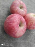 慶陽(yáng)蘋(píng)果 QINGYANG APPLE紅斯尼克蘋(píng)果新鮮人類(lèi)第四個(gè)蘋(píng)果不套袋蘋(píng)果寧縣蘋(píng)果脆甜 12枚裝 12枚 禮盒（中果70mm左右） 曬單實(shí)拍圖