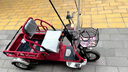 泰合殘疾人雙人電動(dòng)三輪車休閑代步車三輪電動(dòng)車電瓶車家用小型拉貨 單驅(qū)48v12安鉛酸電池-三色可選 曬單實(shí)拍圖