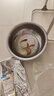 彌翠園紅鯉魚活體魚苗淡水養(yǎng)殖食用冷水觀賞魚錦鯉興國紅鯉魚魚批發(fā) 5條8-10厘米紅鯉魚【苗包活到家】 曬單實拍圖