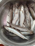 鯨零島滿(mǎn)籽多春魚(yú)純母體手工挑選冰鮮發(fā)貨 16厘米/條 2斤 曬單實(shí)拍圖