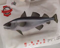 新西蘭鱈魚(yú)丸鱈魚(yú)肉丸深海鱈魚(yú)丸寶寶鱈魚(yú)肉500g燒烤火鍋食材 魚(yú)丸 曬單實(shí)拍圖