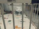 Jolly Baby兒童游戲圍欄嬰兒防護欄寶寶爬行學(xué)步安全欄客廳家用地上實木圍欄 新西蘭松180*200【藍色扣含門】 曬單實拍圖