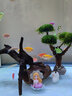 森淵莫斯樹(shù)水草魚(yú)缸造景無(wú)土淡水增氧水族箱懶人沉木魚(yú)缸活體淡水植物 成品莫斯樹(shù)(高17-20cm四頭) 曬單實(shí)拍圖