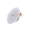 DSPPAdsppa音響  迪士普 DSP501/802 /703 背景音樂(lè )天花吸頂喇叭 DSP802  6-10W 曬單實(shí)拍圖