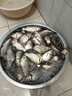 釣魚(yú)王 野攻天下釣魚(yú)魚(yú)餌一包搞定通用鯽魚(yú)鯉魚(yú)草魚(yú)淡水魚(yú)打窩搓餌餌料 底窩800g×1包 曬單實(shí)拍圖