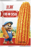 北蔬玉米種子產(chǎn)高矮大棒抗旱抗倒鄭單958國(guó)審官方正品飼料四川雜交 北蔬鄭單958玉米種 8斤（2畝地） 曬單實(shí)拍圖