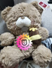 澳捷爾（Aoger）小熊戰士毛絨玩具公仔玩偶新年情人節生日禮物送男女生13號吉爾熊 曬單實(shí)拍圖
