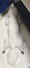 愛(ài)肯拿（ACANA） 狗糧 通用成犬幼犬 經(jīng)典雞肉草原天然犬糧11.4kg效期26/3 曬單實(shí)拍圖