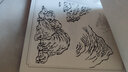 得閱 中國(guó)畫(huà)白描入門套裝兩件套  花卉山水篇 臨摹本 文房國(guó)畫(huà)書(shū)法初學(xué)者  曬單實(shí)拍圖