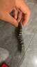 億智谷（Ewitgo）泥鰍路亞餌仿生假魚(yú)餌翹嘴專(zhuān)用鱸魚(yú)黑魚(yú)鱤魚(yú)通殺多節魚(yú)淡水海釣 綠色條紋【夜光·晝夜通用】 15克 曬單實(shí)拍圖