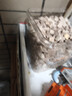 WEYES凍干鴨肉粒450g桶裝寵物零食肉干營(yíng)養發(fā)腮高蛋白雞胸肉凍干 曬單實(shí)拍圖