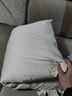 雅鹿全棉棉花枕頭枕芯新疆長(cháng)絨棉填充護頸椎助睡眠成人睡覺(jué)專(zhuān)用整頭 天然棉花枕-中枕 48cm *74cm【一只裝】 曬單實(shí)拍圖