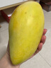 閩域?qū)r廣西大青芒青皮大芒果新鮮應(yīng)季水果香甜可口一級大果包郵送禮 凈重2.5斤【單果150-300g】果農(nóng)甄選果 肉多核薄，香甜多汁 曬單實拍圖