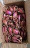 四季紅蔥頭小蔥種子火蔥頭四川干皮春季蔬菜萊疏菜陽(yáng)臺種種籽 紅蔥頭3斤 曬單實(shí)拍圖