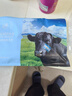春禾秋牧 進(jìn)口安格斯原切板腱牛排200g/1-2片贈料包 牛肉生鮮 低脂健身 曬單實(shí)拍圖