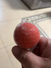 聚創(chuàng)麒 寵物狗狗實(shí)心橡膠彈力球玩具泰迪幼小中大型犬磨牙玩具金毛薩摩德牧耐咬訓(xùn)練橡膠球玩具 S-號(hào)5.0cm(實(shí)心球) 曬單實(shí)拍圖