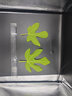 中科西冷超低溫冰箱零下-80度科研實(shí)驗(yàn)室冷凍柜-60℃生物干冰菌種冰柜 -40商用標(biāo)本零件深冷速凍柜 超低溫 210L -40到-86°度可調(diào)節(jié) 曬單實(shí)拍圖
