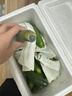 京喜加新鮮無(wú)刺水果小黃瓜小青瓜脆甜荷蘭脆嫩生吃黃瓜蔬菜 水果黃瓜 3斤 帶箱 曬單實(shí)拍圖