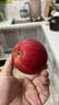 京鮮生 Mr Apple新西蘭皇后紅玫瑰蘋(píng)果12粒 單果130-150g 水果禮盒 曬單實(shí)拍圖