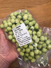 太空蓮蓬米微山湖新鮮蓮蓬當季現摘蓮子鮮嫩清甜應季水果生吃時(shí)令 新鮮太空蓮蓬米2斤 曬單實(shí)拍圖